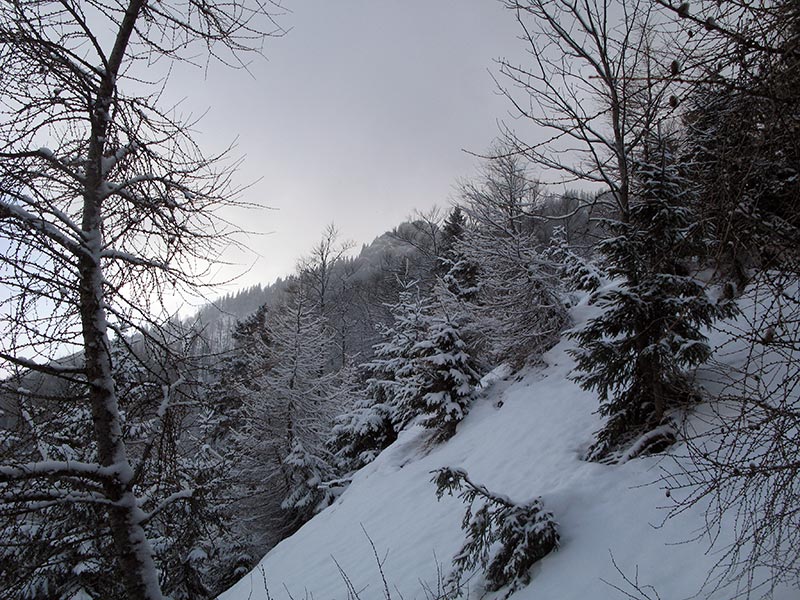 obersberg